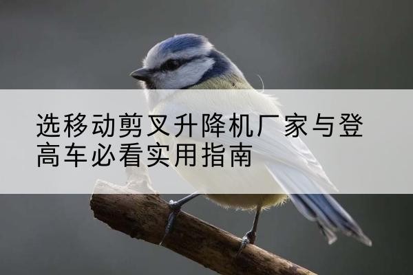遵义电动升降机厂家-选移动剪叉升降机厂家与登高车必看实用指南