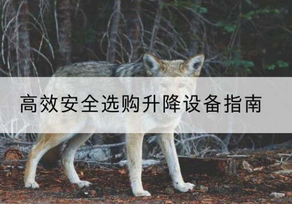 遵义升降货梯厂家推荐-*安全选购升降设备指南